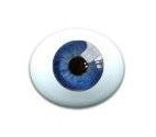 Глаза овальные (рыбки), 20 мм синие 20CC-02