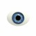 Глаза овальные (рыбки), 12мм голубые 12MA-01