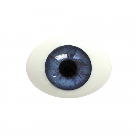 Глаза овальные (рыбки), 12мм синие 12CA-01