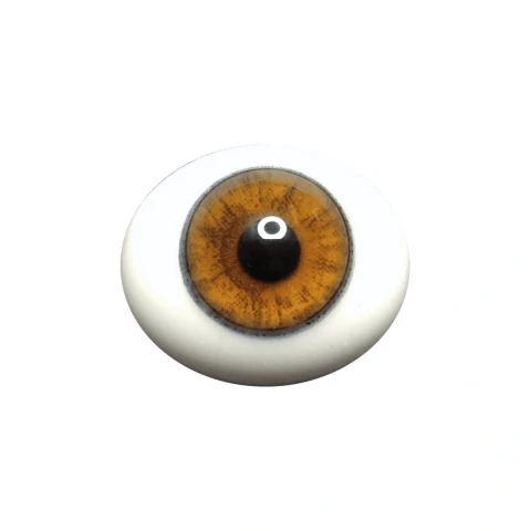 Глаза овальные (рыбки), 20 мм ореховые 20CA-09