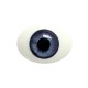 Глаза овальные (рыбки), 12мм синие 12CD-02