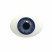 Глаза овальные (рыбки), 12мм синие 12CC-02