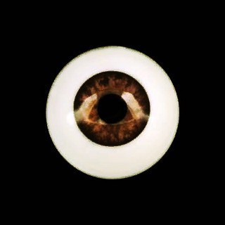 Глаза сферические, 10мм коричневые 10CC-10