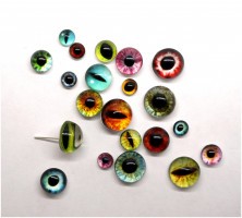 Глаза кабошоны 8 мм,Коллекции_05129
